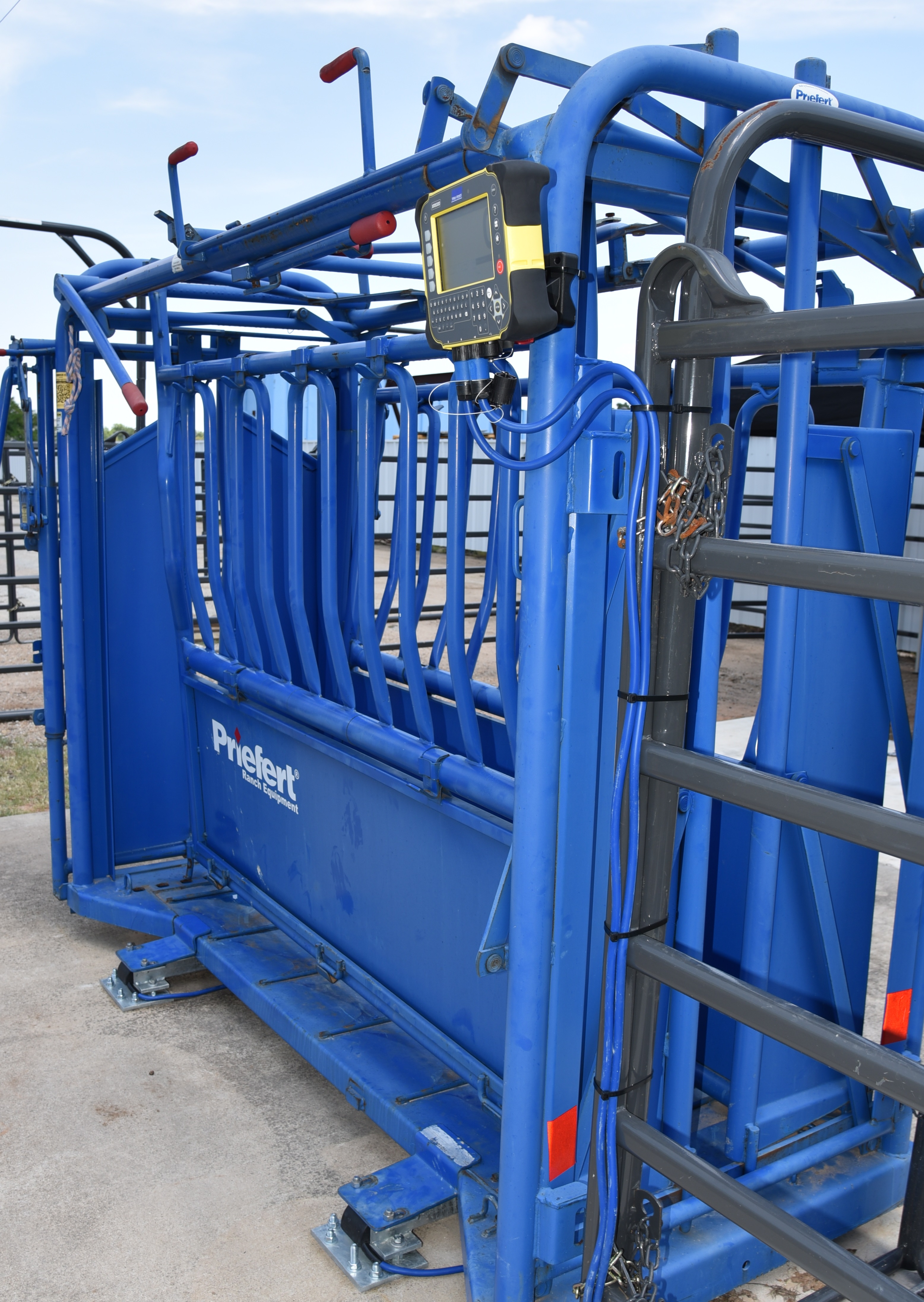 DSC 0557 Cropped.jpg